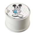 Small box mickey mouse