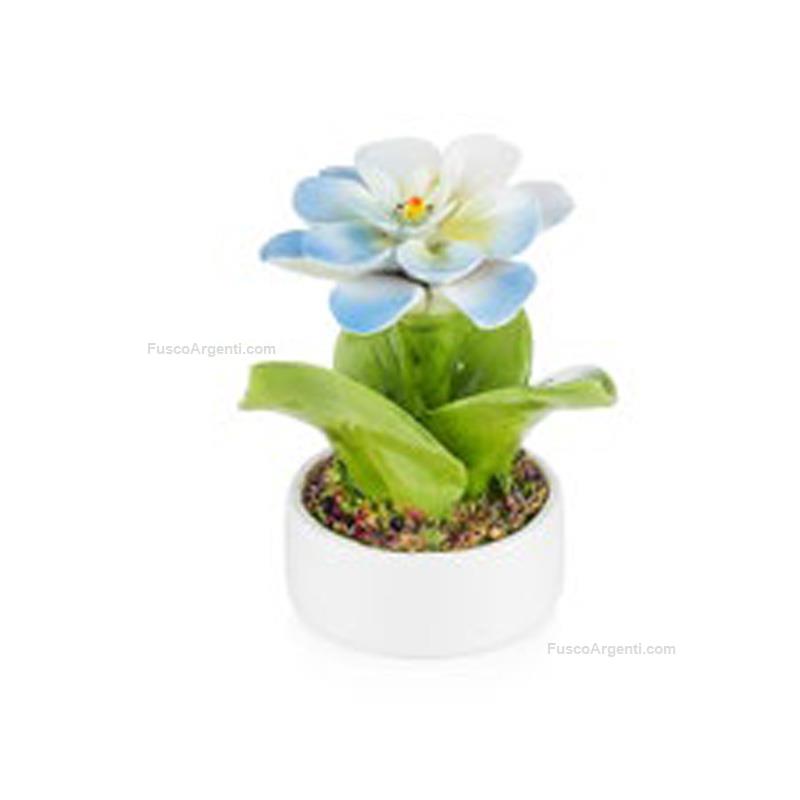 elite ceramic camellia