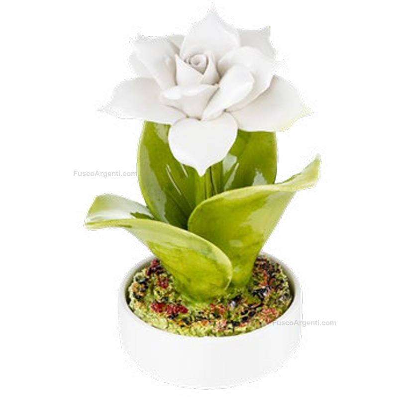 elite ceramic white rose