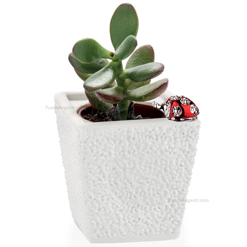 moda argenti small squared vase plant holder